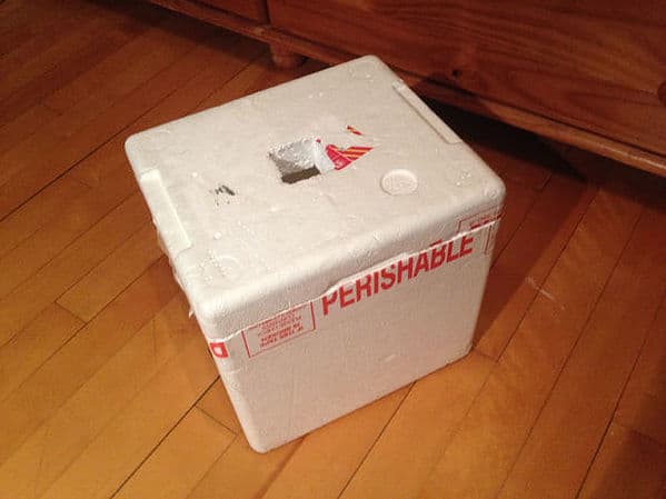 Styrofoam cooler box.