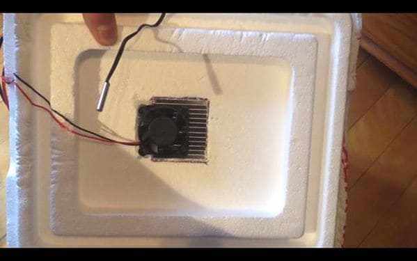 Building the homemade thermoelectric Peltier cooler using TEC1-12706 and W1209 temperature control switch.