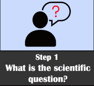 What is the First Step of the Scientific Method? Step 1: what is the question?