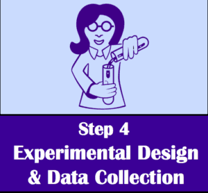 What is the fourth step of the scientific method? Step 4: experimental design and data collection