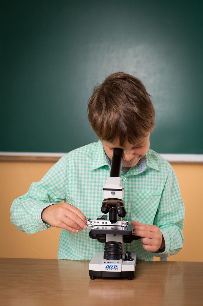 Best kit of microscope slides for kids