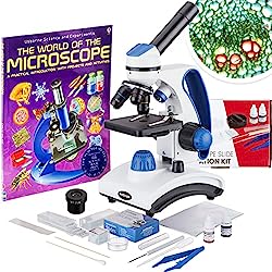 Best microscope for beginners, kids and students: AmScope M162C-2L-PB10-WM-SP14-50P100S 40X-1000X Compound Microscope kit with Complete Science Accessory Kit and World of The Microscope Book