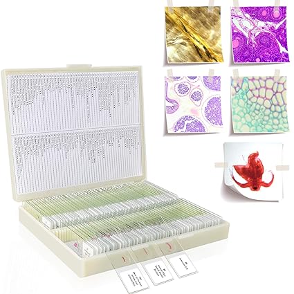 Kit Containing 100 Prepared Microscope Slides for Kids or Students with Various Specimens on Amazon