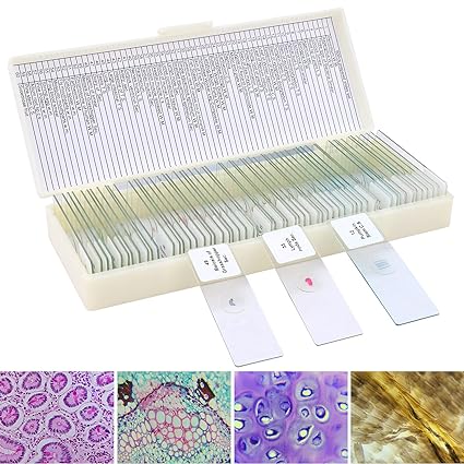 Kit Containing 60 Prepared Microscope Slides for Kids or Students with Various Specimens on Amazon